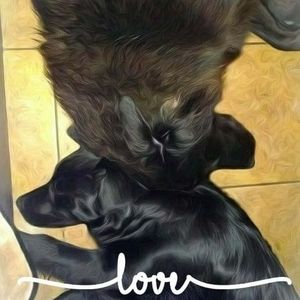 Meet your Posher, Lori